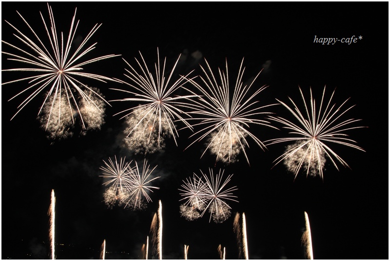 2015HANABI・19　～大井川花火大会5　～_a0167759_15183221.jpg