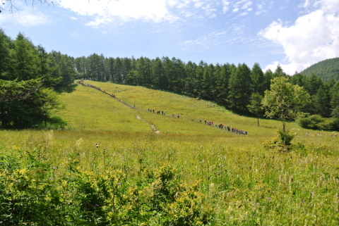c0080861_14290404.jpg