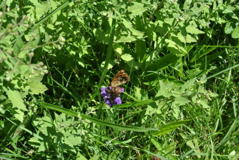 c0080861_14303610.jpg