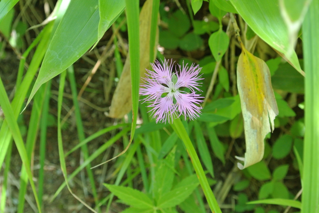 c0080861_14305143.jpg