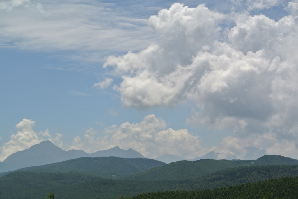 c0080861_14312010.jpg
