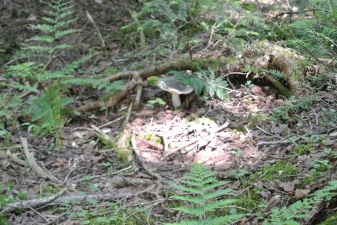 c0080861_14341226.jpg