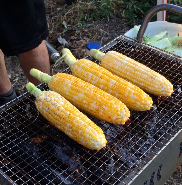 カニマル縁日☆写真館_a0044064_122046.jpg
