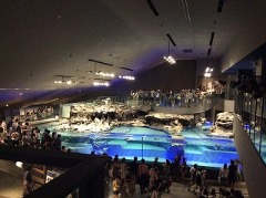 すみだ水族館、初訪問。_e0039787_22354362.jpg