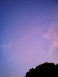 d0039189_23291033.jpg