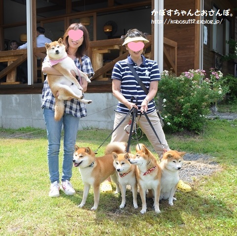 ４柴ちゃん、こんにちは！ ( 戸隠2015)_a0126590_00330743.jpg