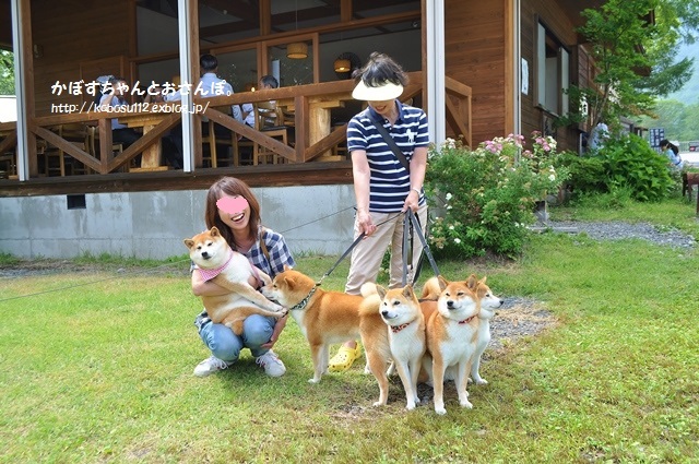 ４柴ちゃん、こんにちは！ ( 戸隠2015)_a0126590_00332141.jpg