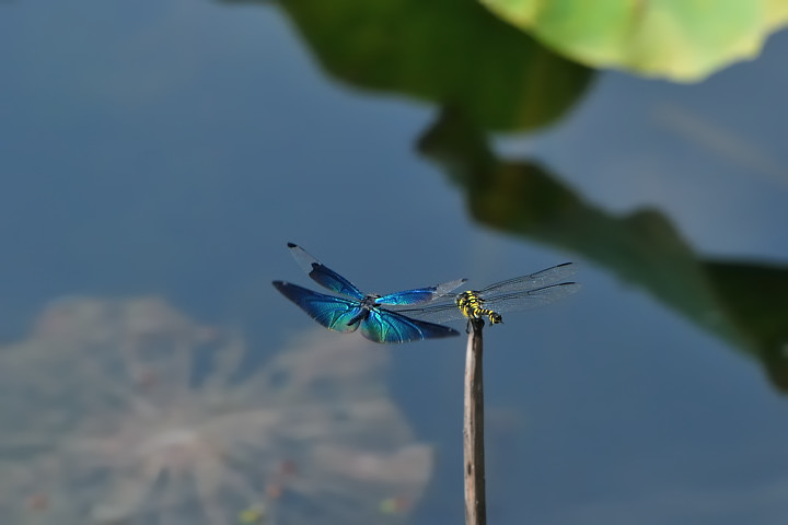 a0143491_2149837.jpg