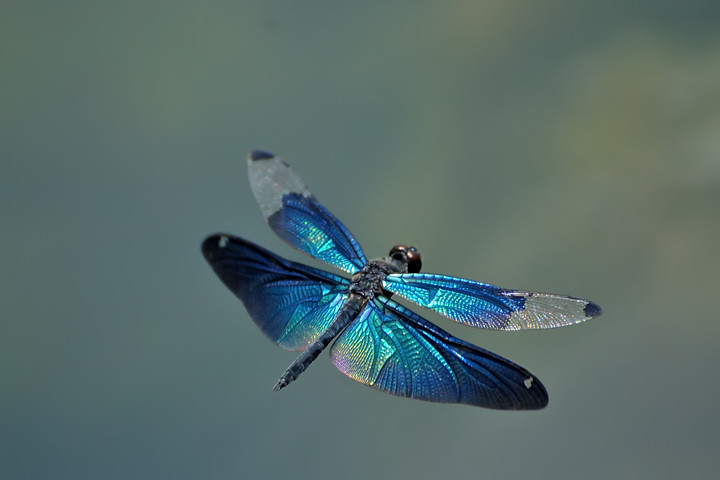 a0143491_21513113.jpg