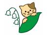 里親さま募集中 ☆ チロ_f0242002_1615552.jpg