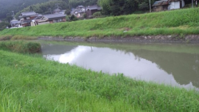 高波に・・・_a0093423_831388.jpg