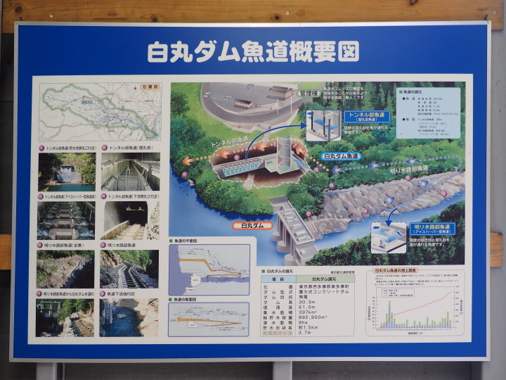 b0244424_243521.jpg
