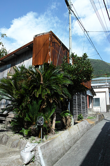 神津島特集～神々が集いし伝説の島～①_c0223825_02364234.jpg