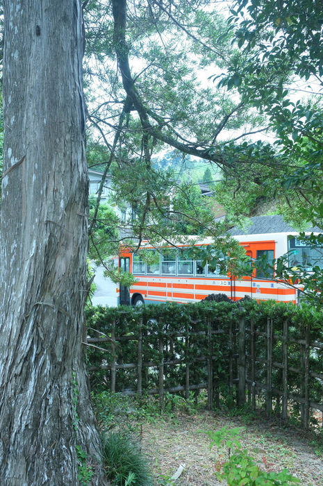 c0308431_1247252.jpg