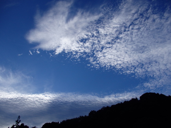 a0054240_21323136.jpg