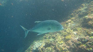 f0233340_20938.jpg
