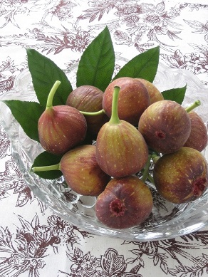 無花果とマスカルポーネのサンドイッチ キッチンで猫と