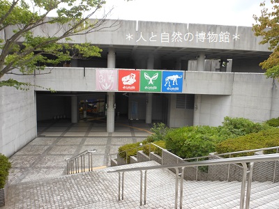 c0261346_2240449.jpg