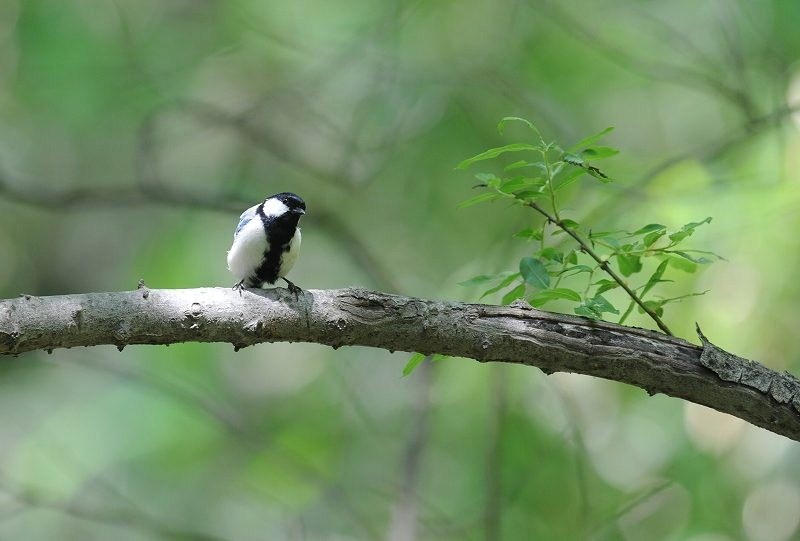 c0233349_225696.jpg