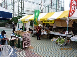 東京「目黒区商工まつり」に出店しました!~農業実践塾~_a0212056_14545975.jpg