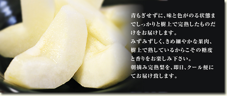 熊本梨 希少品種『豊水(ほうすい)』、熊本のブランド梨『秋麗(しゅうれい)』先行予約受付中!!_a0254656_17555187.jpg