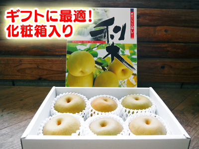 熊本梨 希少品種『豊水(ほうすい)』、熊本のブランド梨『秋麗(しゅうれい)』先行予約受付中!!_a0254656_183877.jpg