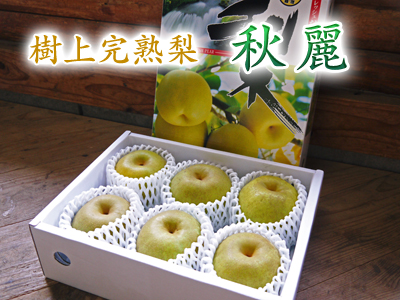 熊本梨 希少品種『豊水(ほうすい)』、熊本のブランド梨『秋麗(しゅうれい)』先行予約受付中!!_a0254656_1913525.jpg
