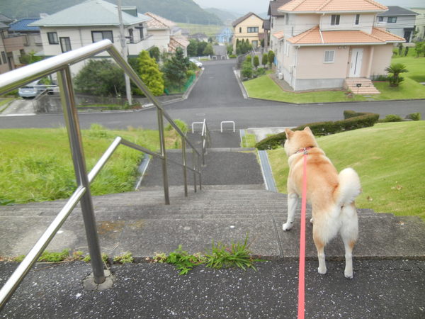 ’15,8,13(木)復活「こころちゃんを探せ!」シリーズ_f0060461_1385660.jpg