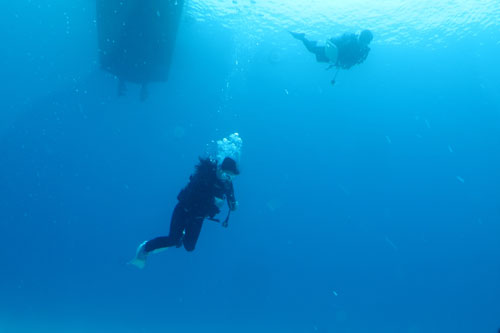 a0035279_23181324.jpg
