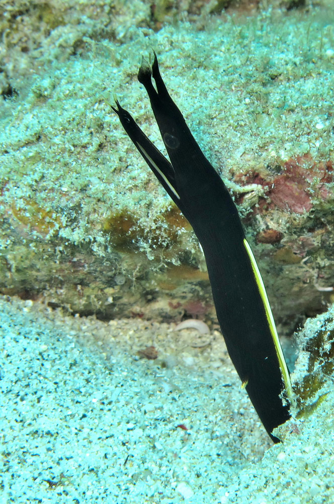 a0035279_23301446.jpg