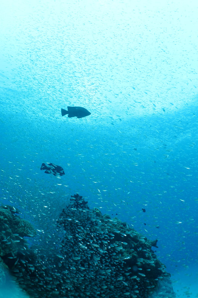 a0035279_2334333.jpg
