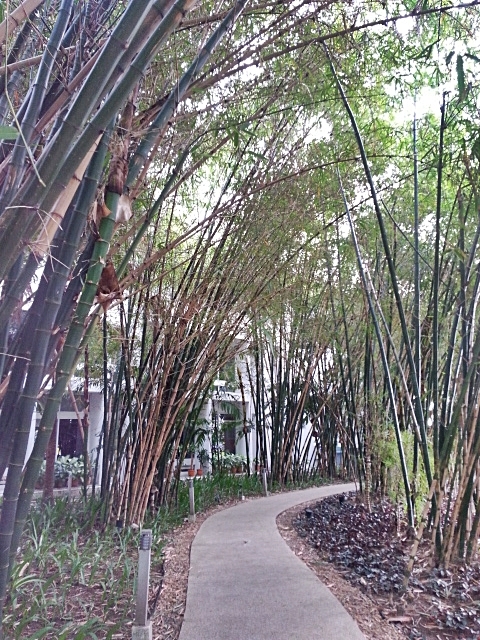 c0096685_20285688.jpg