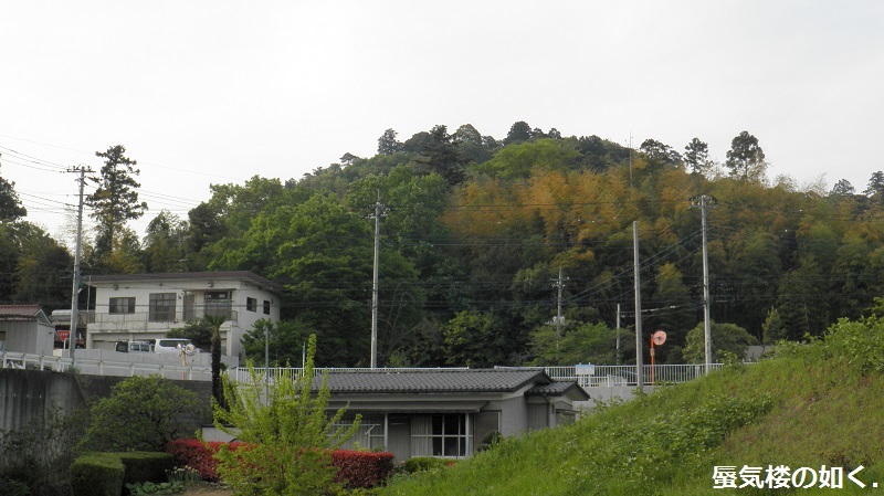 e0304702_20403919.jpg