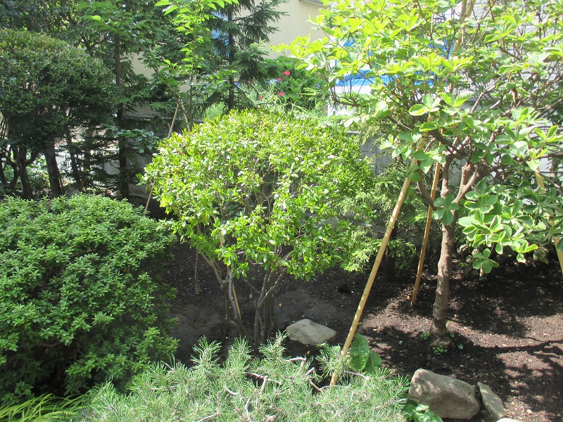 f0202703_2156525.jpg