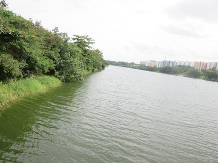 c0212604_5504511.jpg