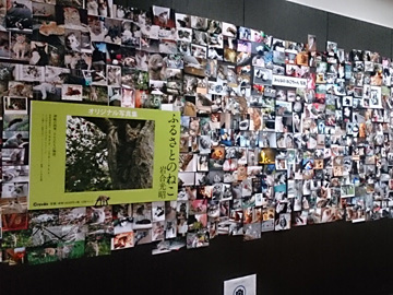 c0187906_1821337.jpg