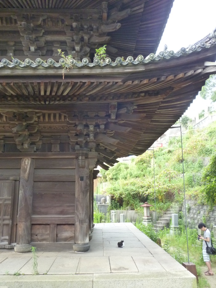 f0215709_17122223.jpg