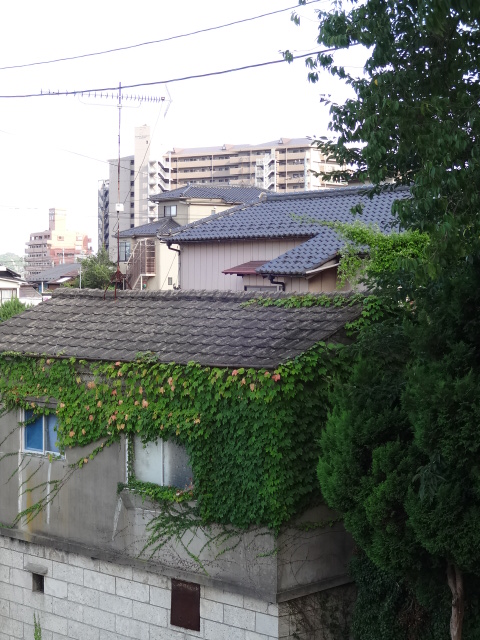 c0279611_2024315.jpg