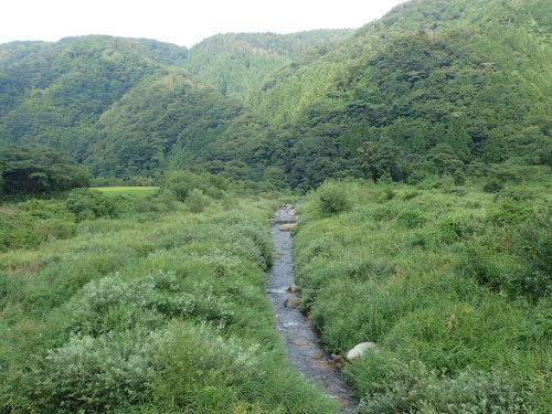 a0315918_18323941.jpg