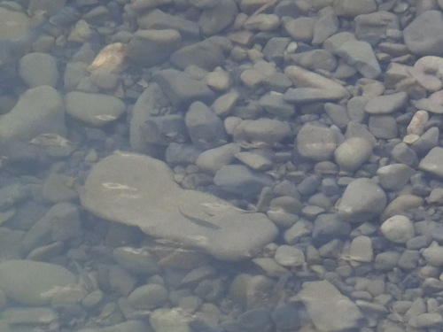a0243325_19313842.jpg