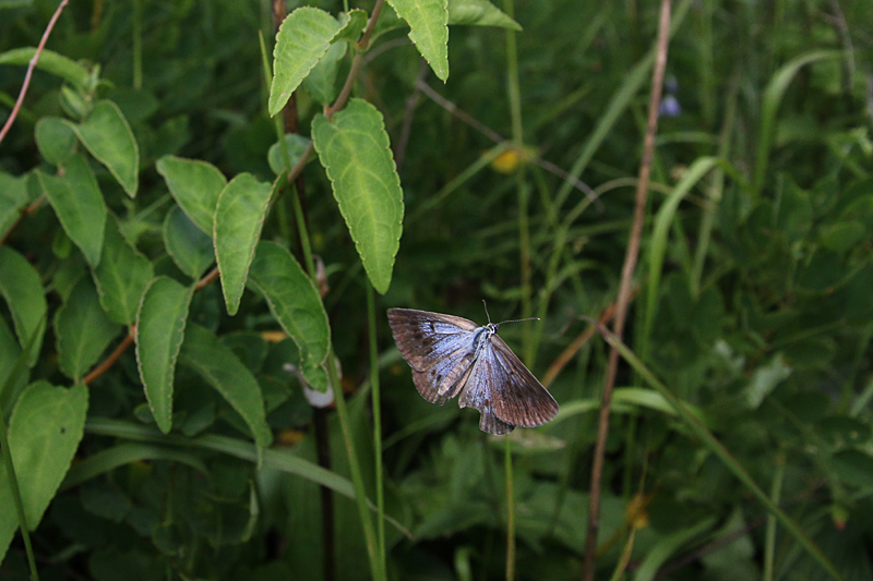 d0054625_2228860.jpg