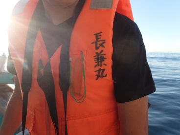 焼津：深海ハンター長兼丸にて、サメはえ縄漁体験！_c0034029_053563.jpg