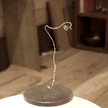 e0021031_1301634.gif