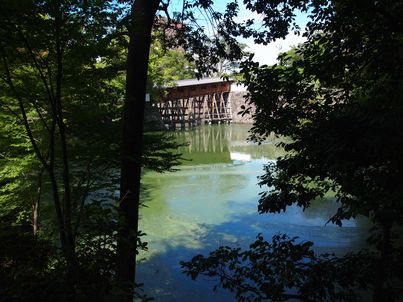 酷暑の下で和歌山城に見参・後半_f0328134_19575268.jpg