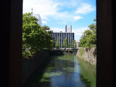 酷暑の下で和歌山城に見参・後半_f0328134_20345531.jpg