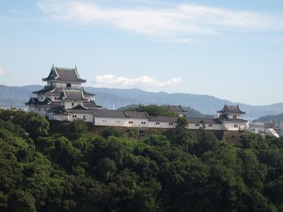 酷暑の下で和歌山城に見参・後半_f0328134_21162988.jpg