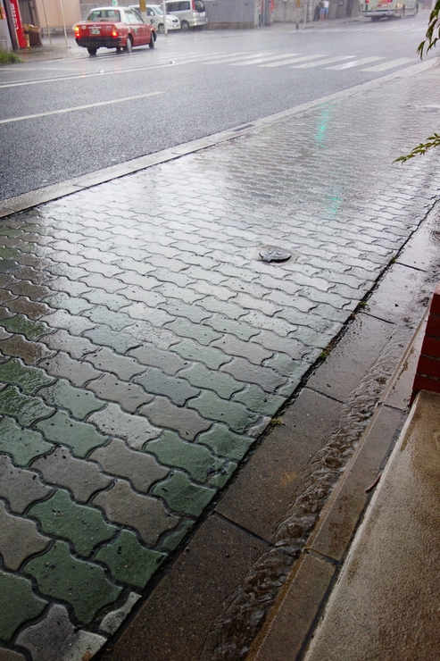 駆け足で巡る京都 2日目 その6～雨_a0287336_16255972.jpg