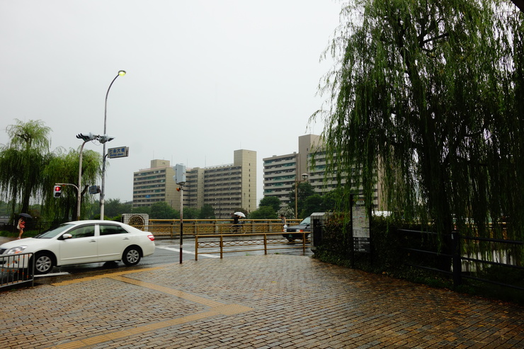 駆け足で巡る京都 2日目 その6～雨_a0287336_16285680.jpg