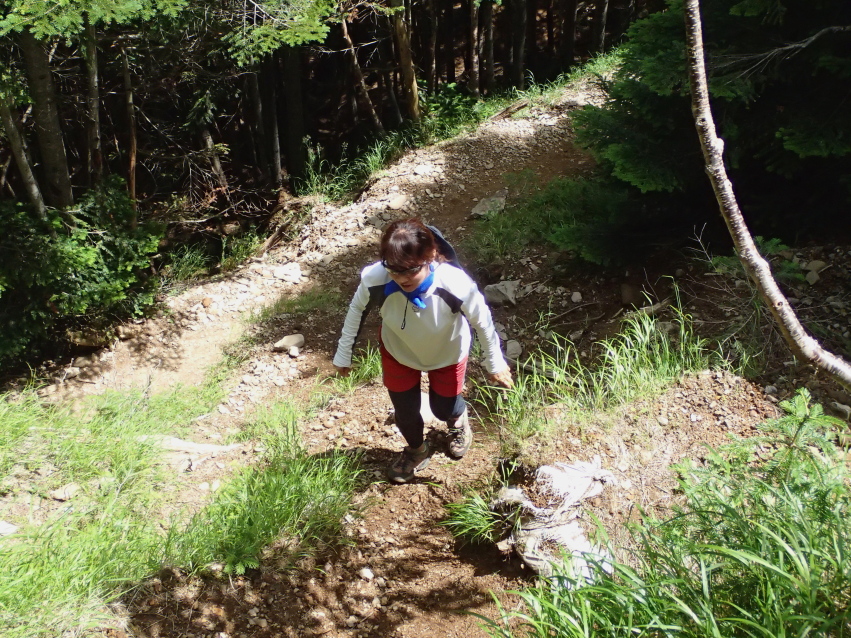 d0169937_1024815.jpg