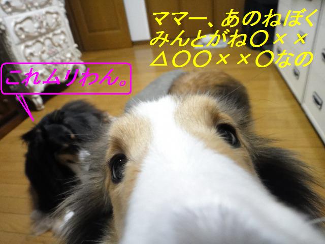 毎日何か言うけれども、わからない件♪_e0195743_11543.jpg